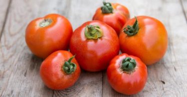 Comment Cultiver Des Tomates ?