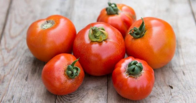 Comment Cultiver Des Tomates ?