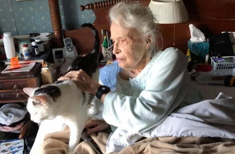 Une femme de 101 ans épouse le plus vieux chat d'un refuge : un mariage parfait !