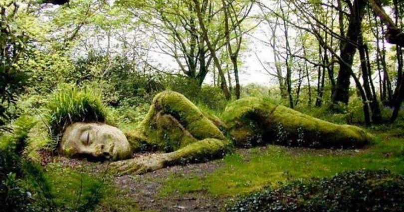 Dans Les Jardins Perdus De Heligan, Une Incroyable Sculpture Vivante Change D'apparence Au Fil Des Saisons.