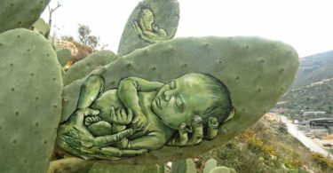 Un Artiste Réalise Des Portraits Pleins D'espoir Des Personnes Sur Des Plaquettes De Cactus