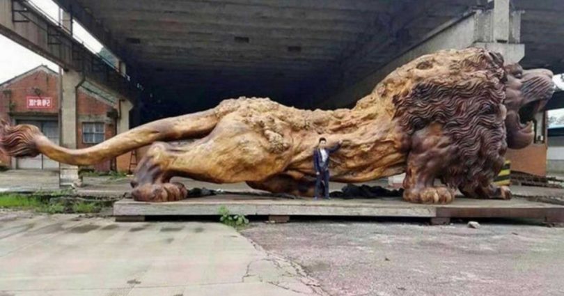 Un Énorme Lion Sculpté Dans Un Seul Tronc D’arbre A Mis 20 Personnes À 3 Ans Pour Terminer